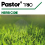 Pastor Trio