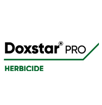 Doxstar Pro