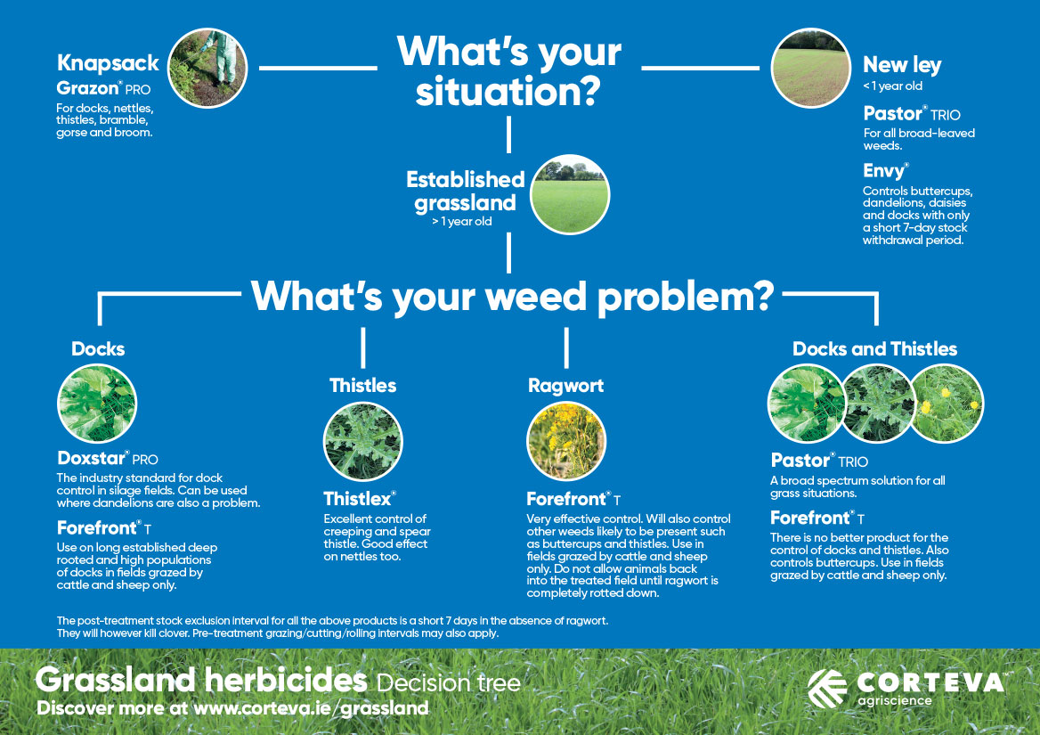 Weed Control Selection Chart - hotspot