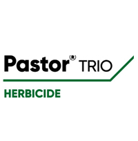 Pastor Trio