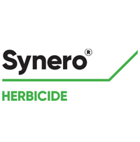 Synero