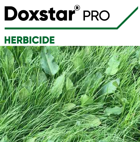 Doxstar Pro Herbicide