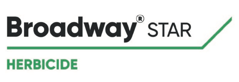 broadway star logo