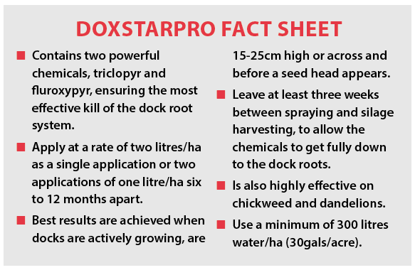 Doxstar Pro fact Sheet