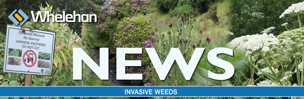 Newsletter Header - Invasive Weeds