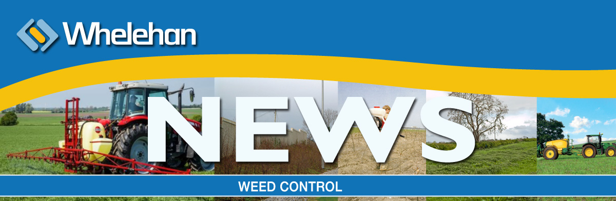 Newsletter Header - weed-control